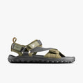 Dark Olive