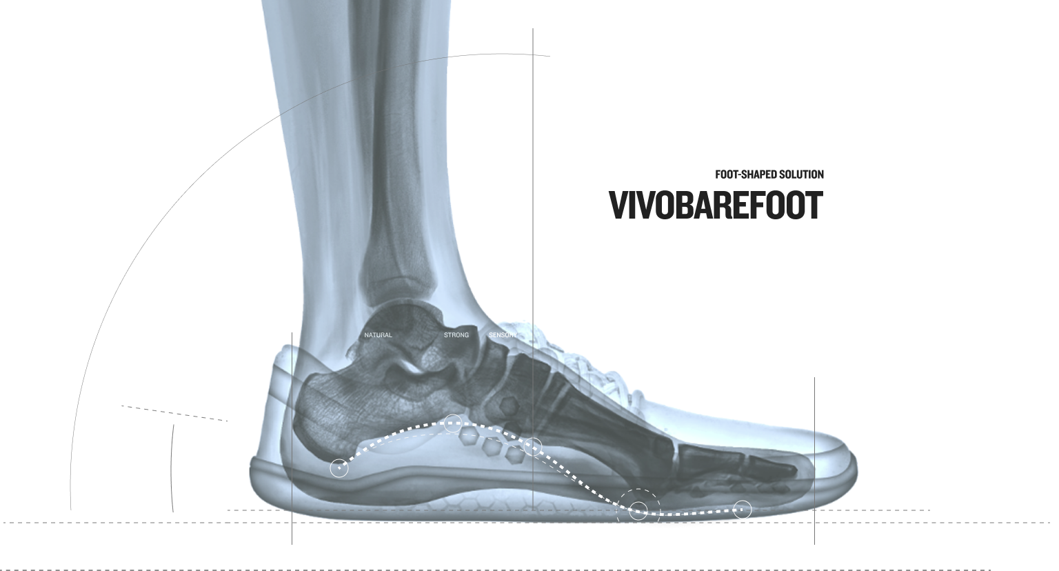 Illustration of natural foot movement in Vivobarefoot